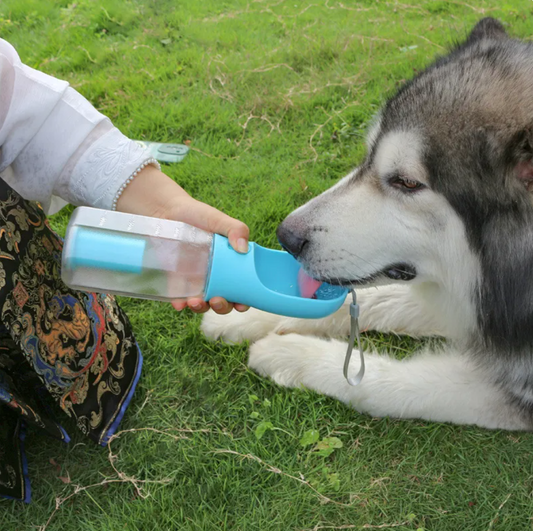 3-in-1 Pet Water & Food Bottle with Waste Bag Holder